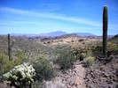 photo thumbnail #6