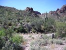photo thumbnail #11