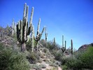 photo thumbnail #12