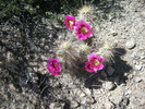 photo thumbnail #13