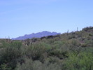 photo thumbnail #14