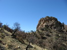 photo thumbnail #2