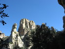 photo thumbnail #5