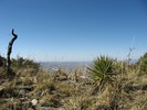 photo thumbnail #13