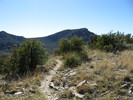 photo thumbnail #14
