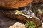 photo thumbnail #10