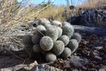 photo thumbnail #9