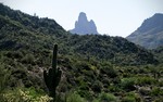 photo thumbnail #3