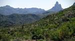 photo thumbnail #6