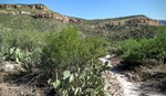 photo thumbnail #9
