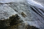 photo thumbnail #14