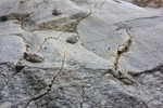 photo thumbnail #15