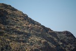 photo thumbnail #15