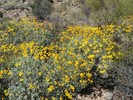 photo thumbnail #13