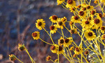 photo thumbnail #1
