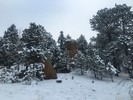 photo thumbnail #4