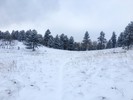photo thumbnail #5