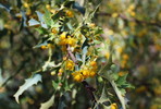 photo thumbnail #4