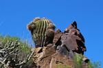 photo thumbnail #6