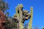 photo thumbnail #7