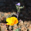 photo thumbnail #8