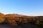 photo thumbnail #2