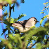 photo thumbnail #3