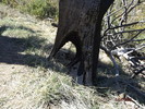 photo thumbnail #15