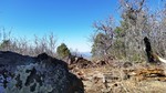 photo thumbnail #12