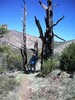 photo thumbnail #7