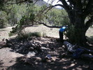 photo thumbnail #8