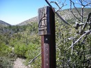 photo thumbnail #9