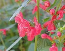 photo thumbnail #10