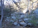 photo thumbnail #2