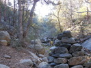 photo thumbnail #5