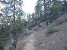 photo thumbnail #6