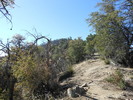 photo thumbnail #8