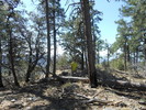 photo thumbnail #12