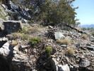 photo thumbnail #14