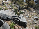 photo thumbnail #15