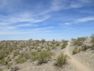 photo thumbnail #2