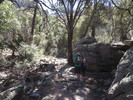 photo thumbnail #4