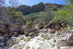 photo thumbnail #11