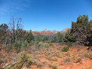 photo thumbnail #8