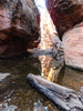 photo thumbnail #14