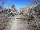photo thumbnail #1