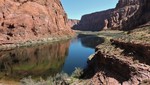 photo thumbnail #15