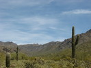 photo thumbnail #2