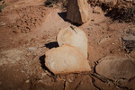 photo thumbnail #1