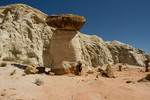 photo thumbnail #14